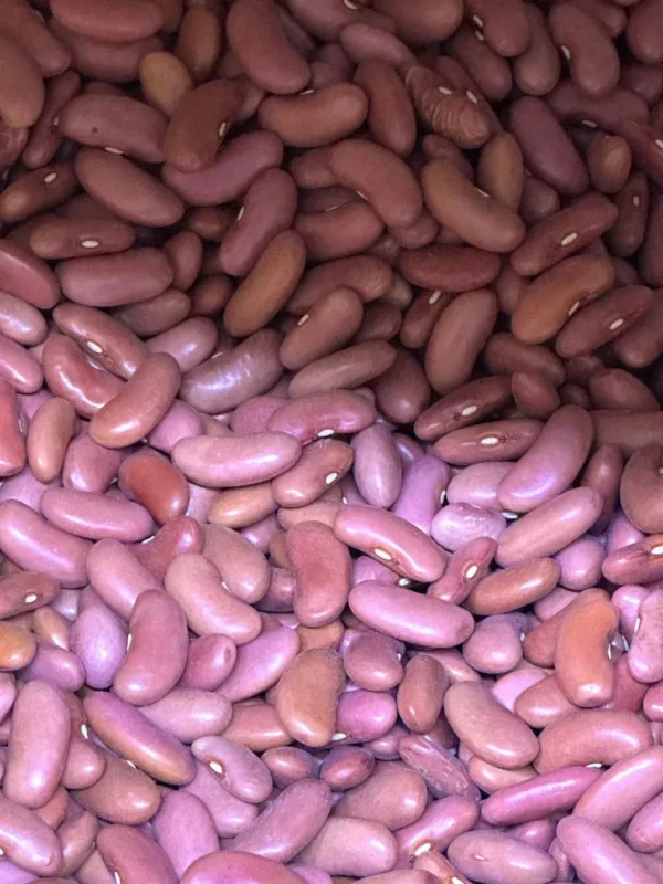 Close-up view of premium Afghan red kidney beans, naturally grown and handpicked for Bakhtar Market.